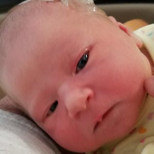 Meet your Posher, Larry